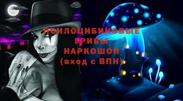 spice Пересвет