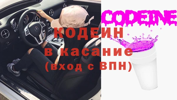 шишки Гусиноозёрск